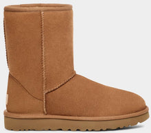 Load image into Gallery viewer, Uggs classic short ll chestnut
